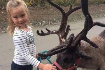 reindeer farm reindeer kid