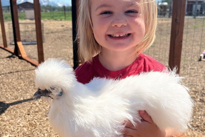 a little girl posing for a picture