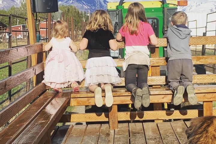 a group of people standing on top of a wooden fence